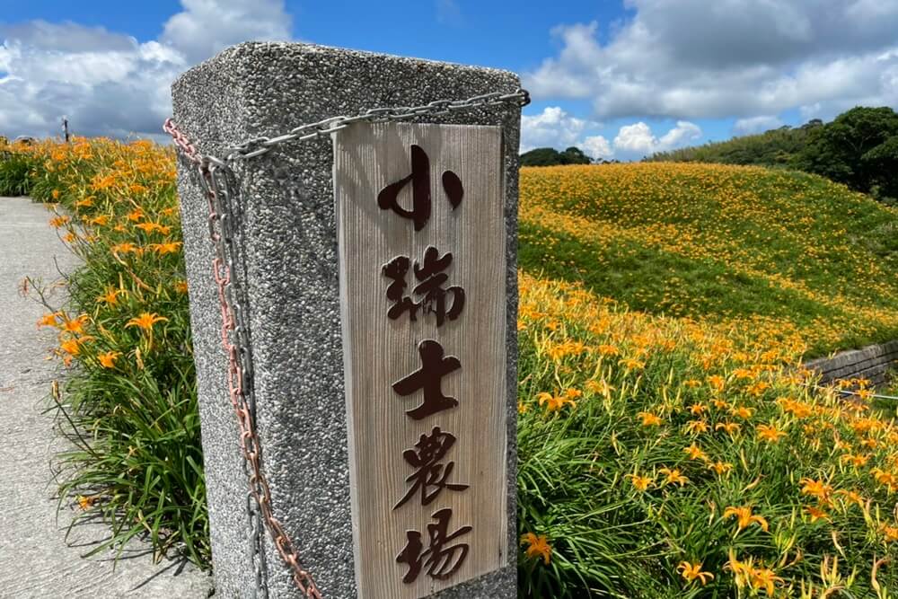 赤柯山小瑞士農場｜即時影像和花況分享，金針花季熱門賞花景點