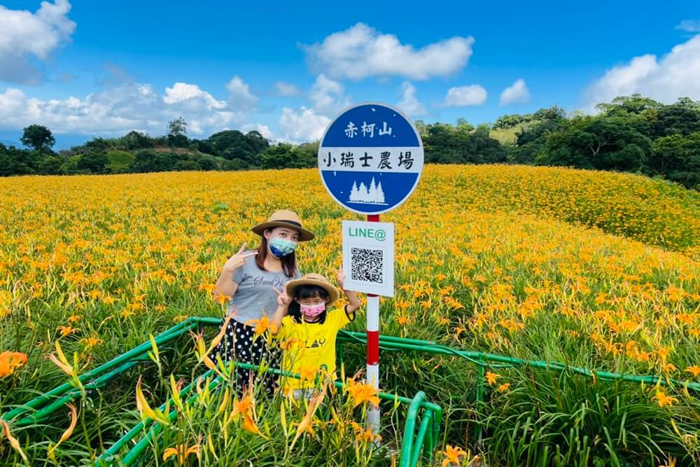 赤柯山小瑞士農場｜即時影像和花況分享，金針花季熱門賞花景點