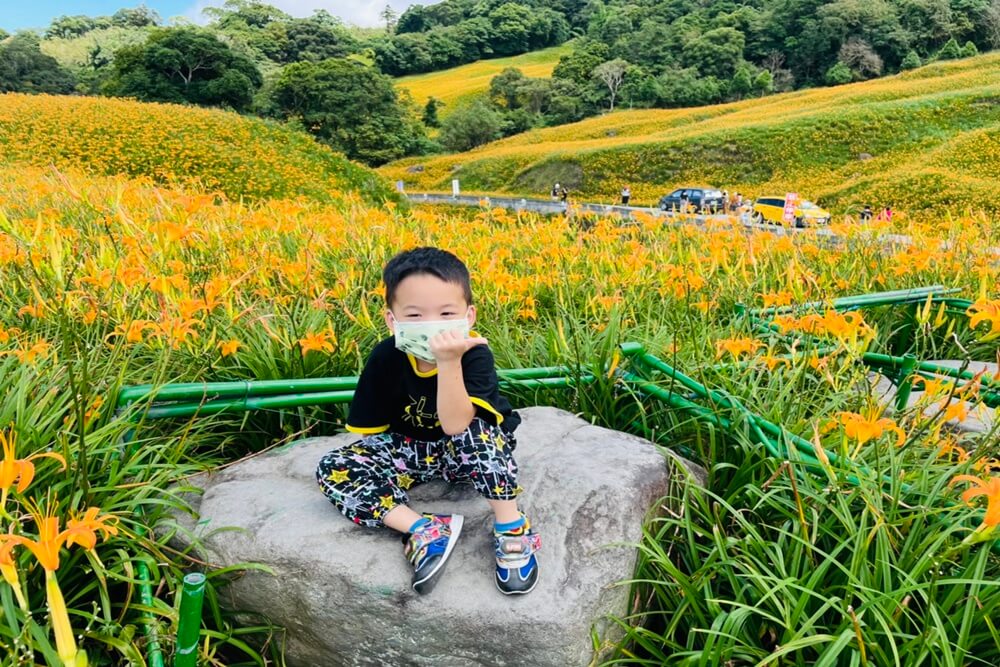 赤柯山小瑞士農場｜即時影像和花況分享，金針花季熱門賞花景點