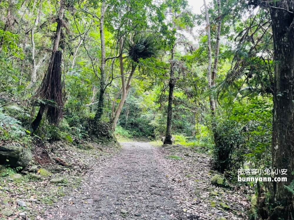 2024【瓦拉米步道】輕鬆攻略山風瀑布與山風吊橋，全程三公里來回一小時。