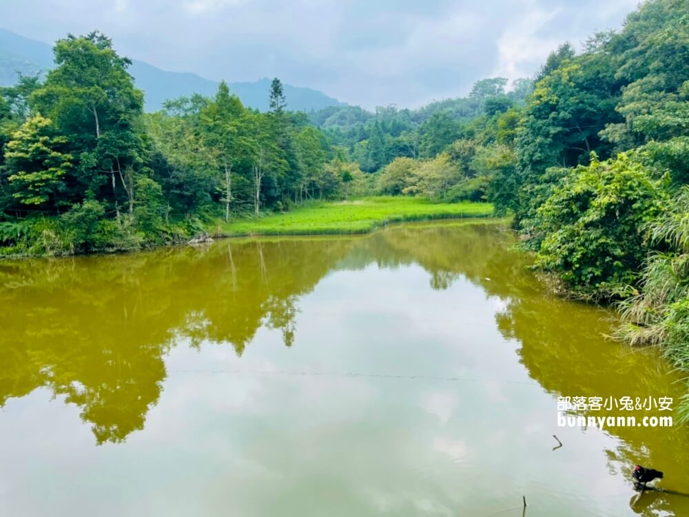 苗栗【向天湖】環湖步道一圈一小時輕鬆走觀光指南