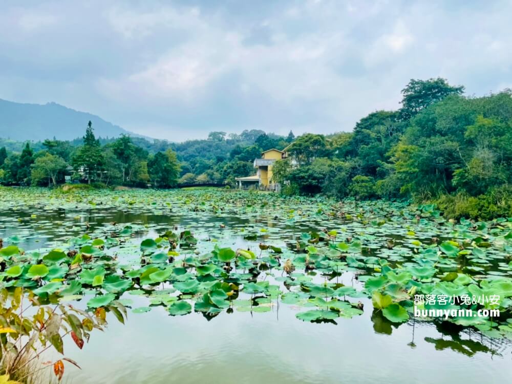 苗栗【向天湖】環湖步道一圈一小時輕鬆走觀光指南