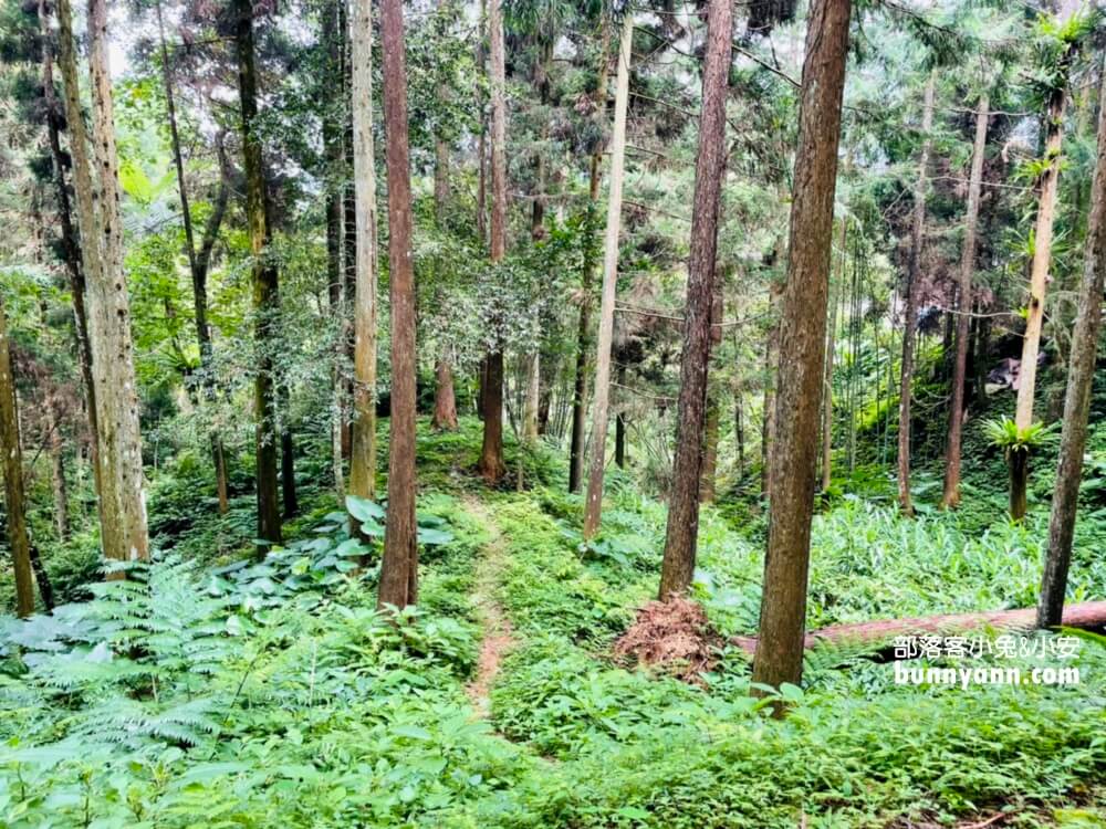 苗栗【向天湖】環湖步道一圈一小時輕鬆走觀光指南