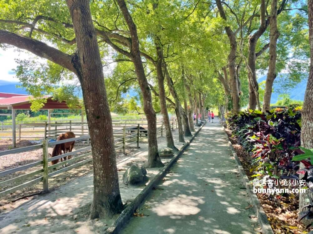 花蓮瑞穗吉蒸牧場，免門票餵小動物吃草好地方，沒有臭味的牧場