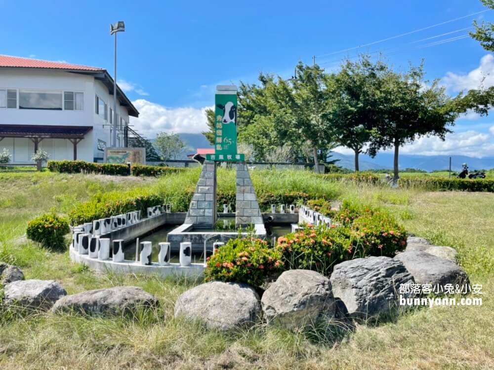 花蓮瑞穗吉蒸牧場，免門票餵小動物吃草好地方，沒有臭味的牧場