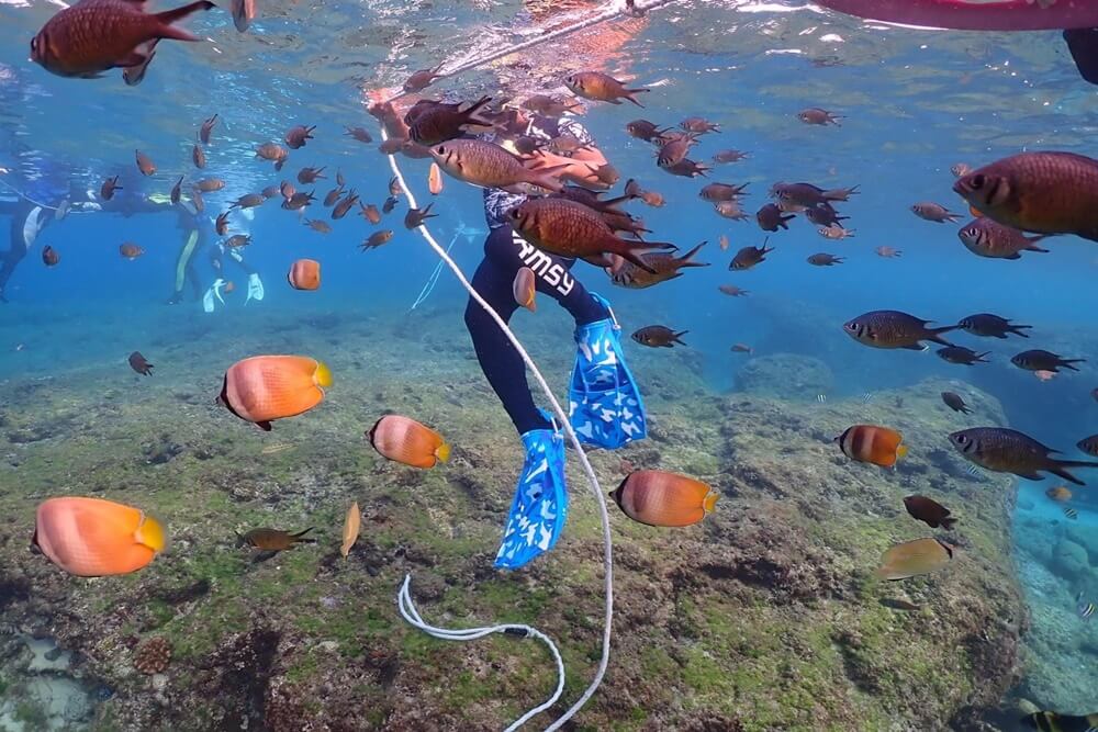 小琉球浮潛遇見魚