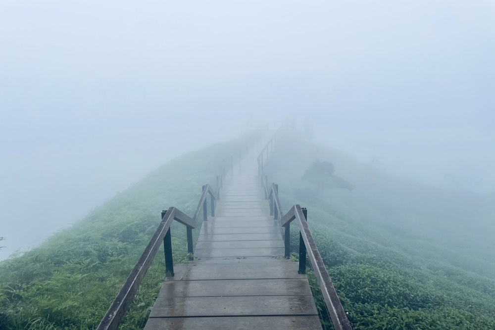 南投銀杏森林值得去嗎?武岫農圃&大崙山觀景臺的交通路況