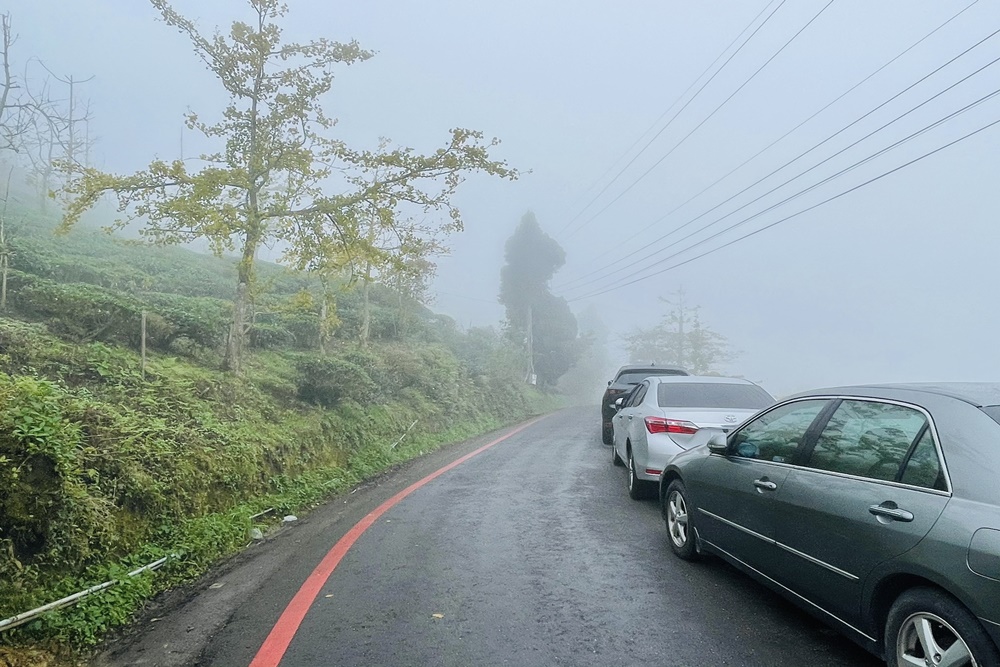 南投銀杏森林值得去嗎?武岫農圃&大崙山觀景臺的交通路況