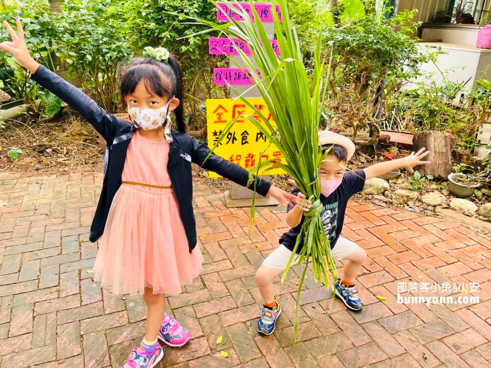 台中》益健乳羊牧場，不用入場費飼料又便宜，餵羊好地方