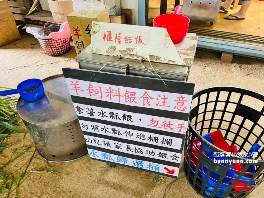 台中》益健乳羊牧場，不用入場費飼料又便宜，餵羊好地方