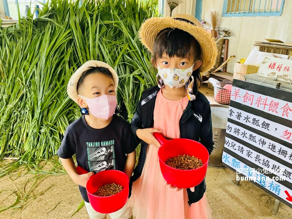 台中》益健乳羊牧場，不用入場費飼料又便宜，餵羊好地方