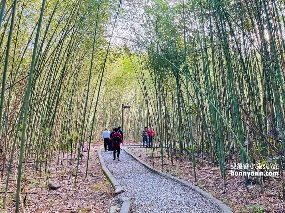 義興吊橋｜桃園復興美拍京都嵐山竹林，20分鐘輕鬆攻略賞景