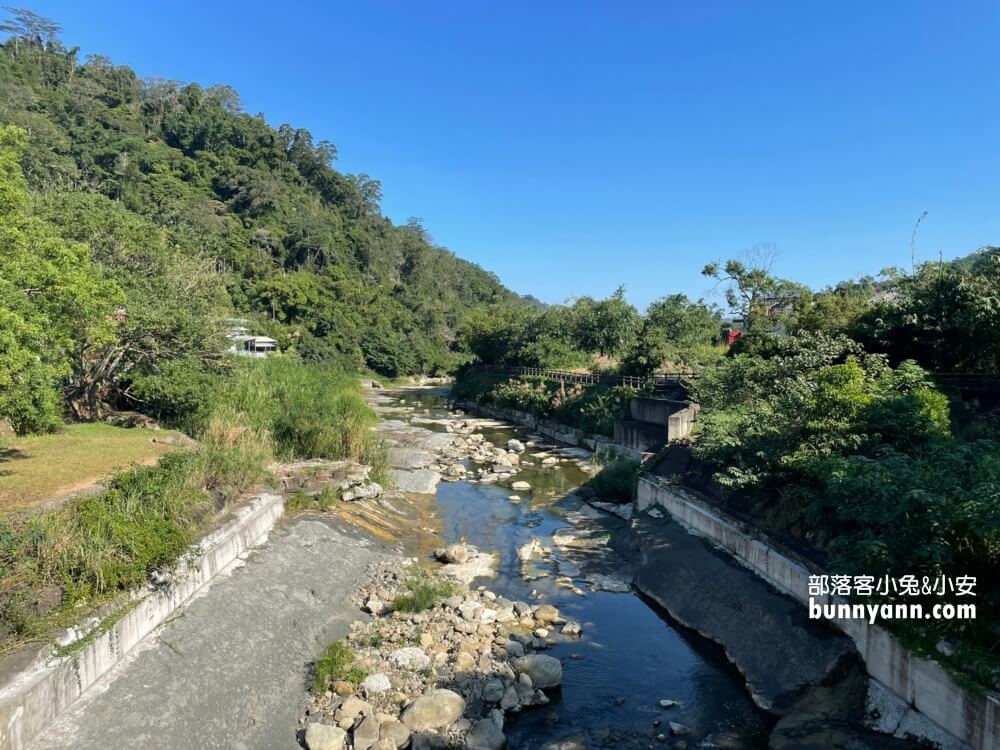 獅潭仙草花節值得去嗎？帶你停車跟吃仙草冰，夢幻紫色花海