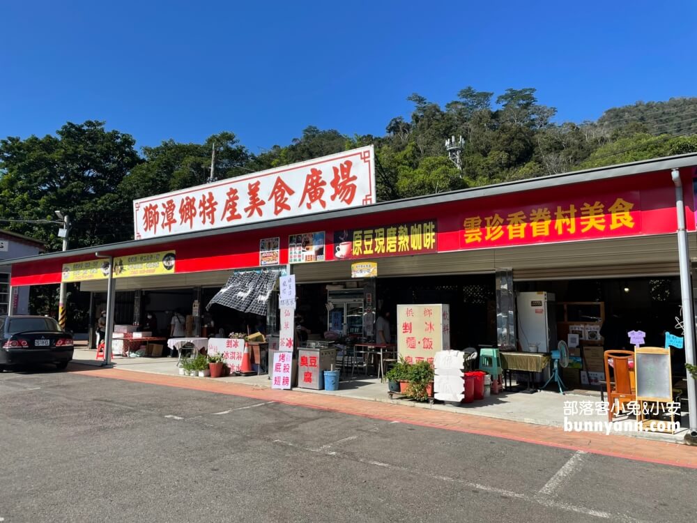 獅潭仙草花節值得去嗎？帶你停車跟吃仙草冰，夢幻紫色花海