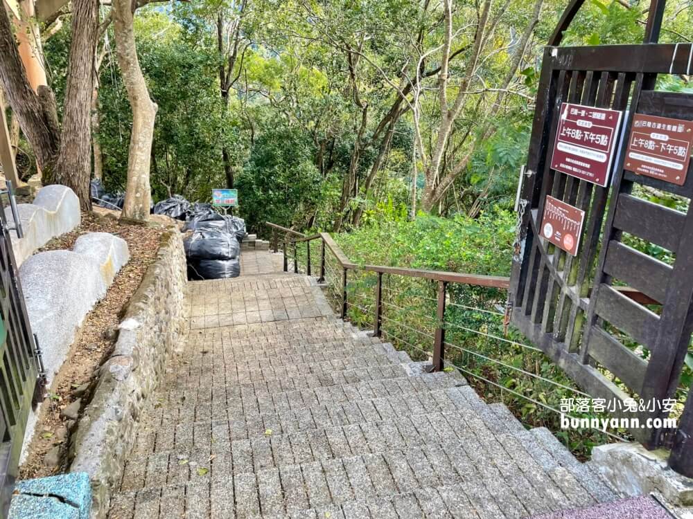 巴陵古道生態園區｜免費暢遊四座生態館，森林吊橋好有趣