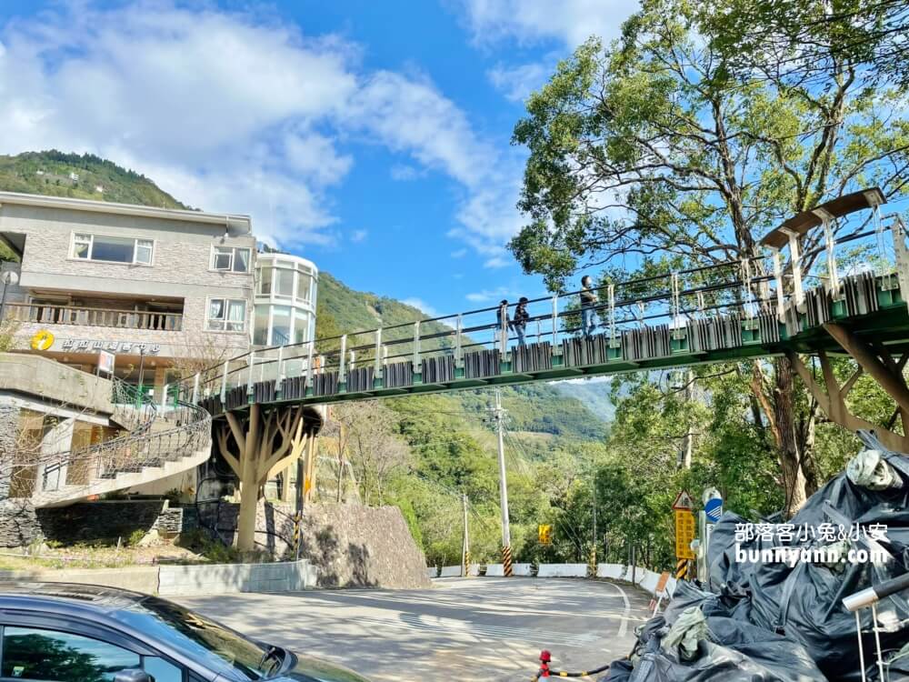 巴陵古道生態園區｜免費暢遊四座生態館，森林吊橋好有趣