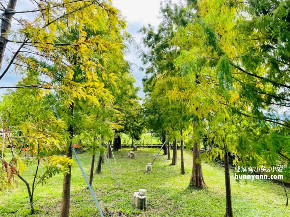 【大溪景觀餐廳】黃色小屋咖啡莊園，下午茶餐點蠻不錯的