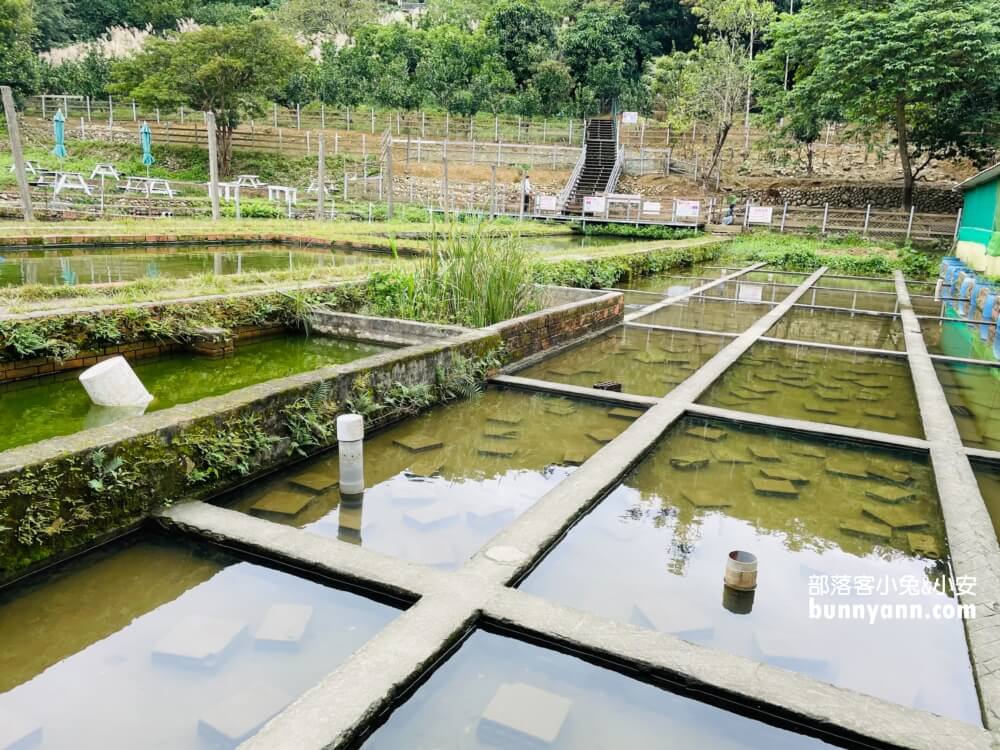 桃園農場「花鹿秘境」暢遊李家摸蜆農場，餵水豚和梅花鹿吃飯。