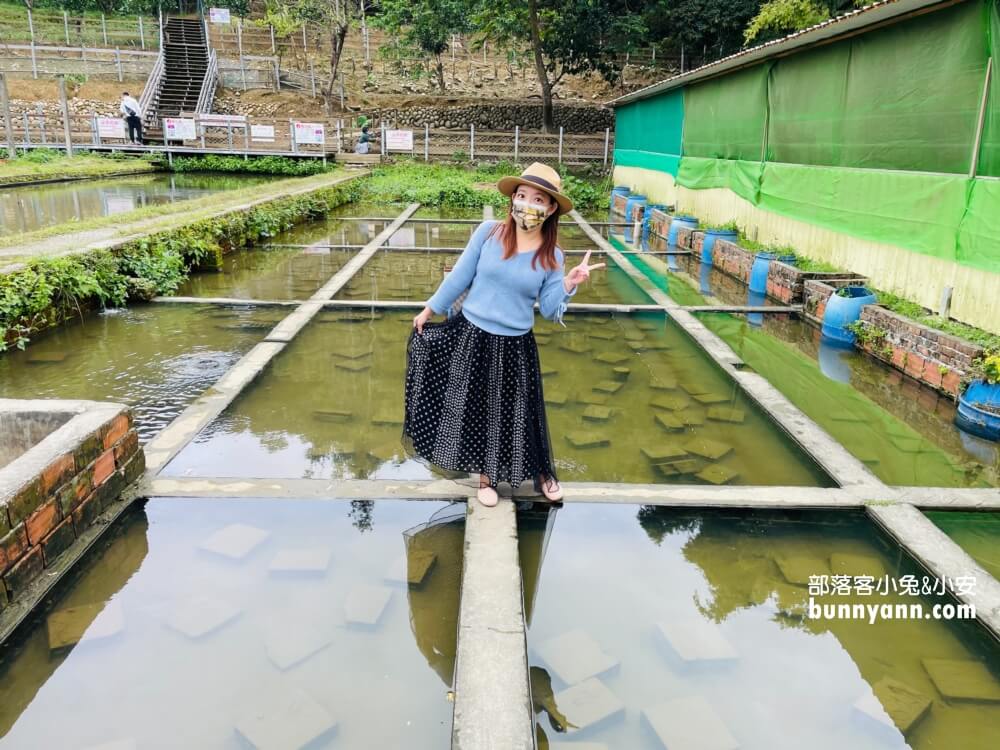 桃園農場「花鹿秘境」暢遊李家摸蜆農場，餵水豚和梅花鹿吃飯。