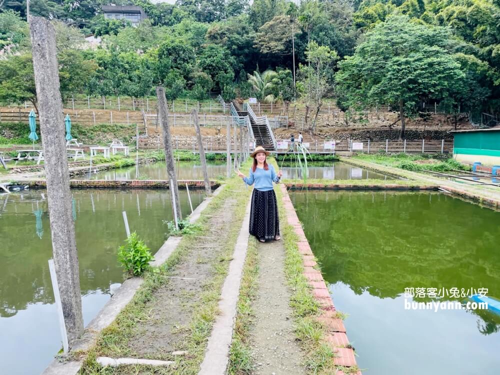 桃園農場「花鹿秘境」暢遊李家摸蜆農場，餵水豚和梅花鹿吃飯。