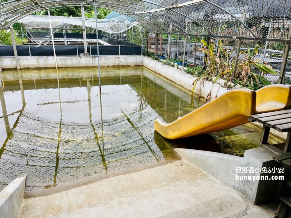 桃園農場「花鹿秘境」暢遊李家摸蜆農場，餵水豚和梅花鹿吃飯。