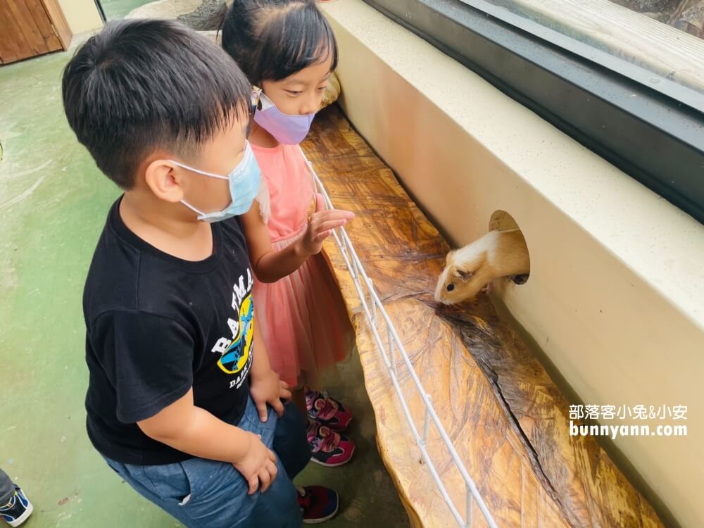 屏東恆春【鳥族8號太空站】亞馬遜生休閒農場開箱介紹