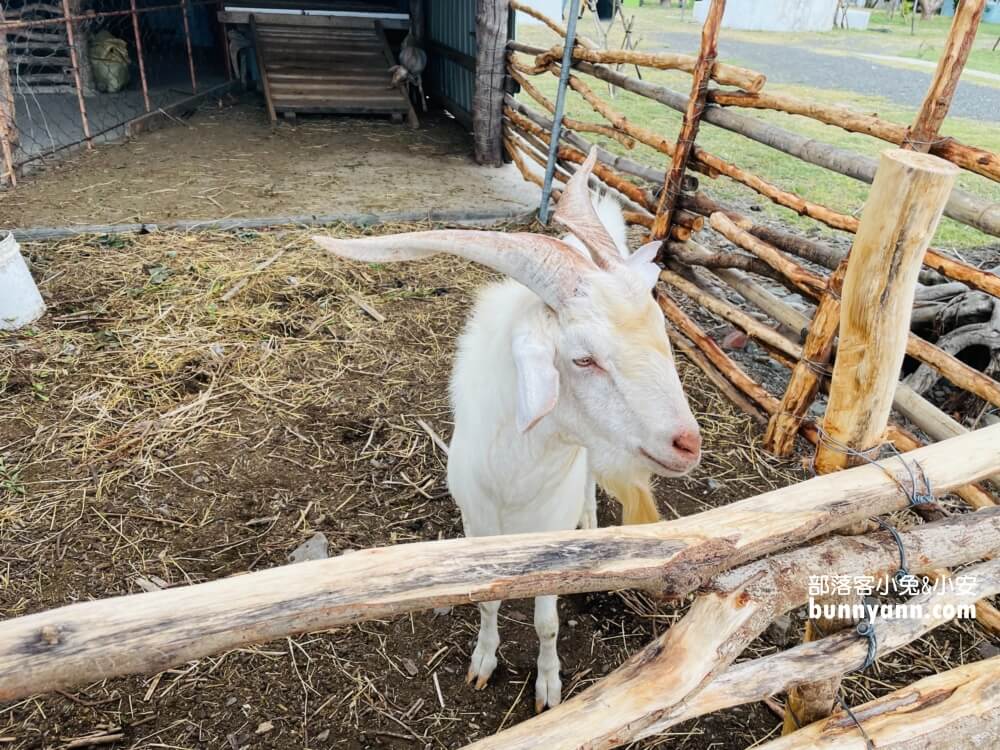 屏東恆春【鳥族8號太空站】亞馬遜生休閒農場開箱介紹