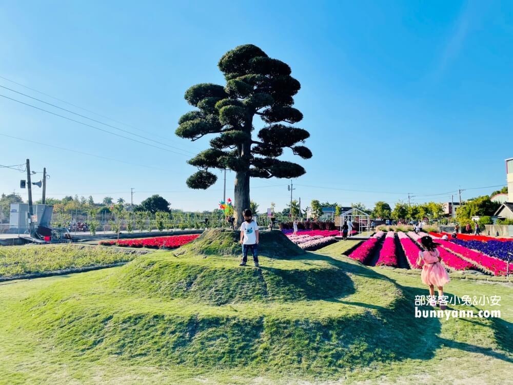 彰化景點》董家花田，田尾繽紛四季花海，戶外野餐好地方