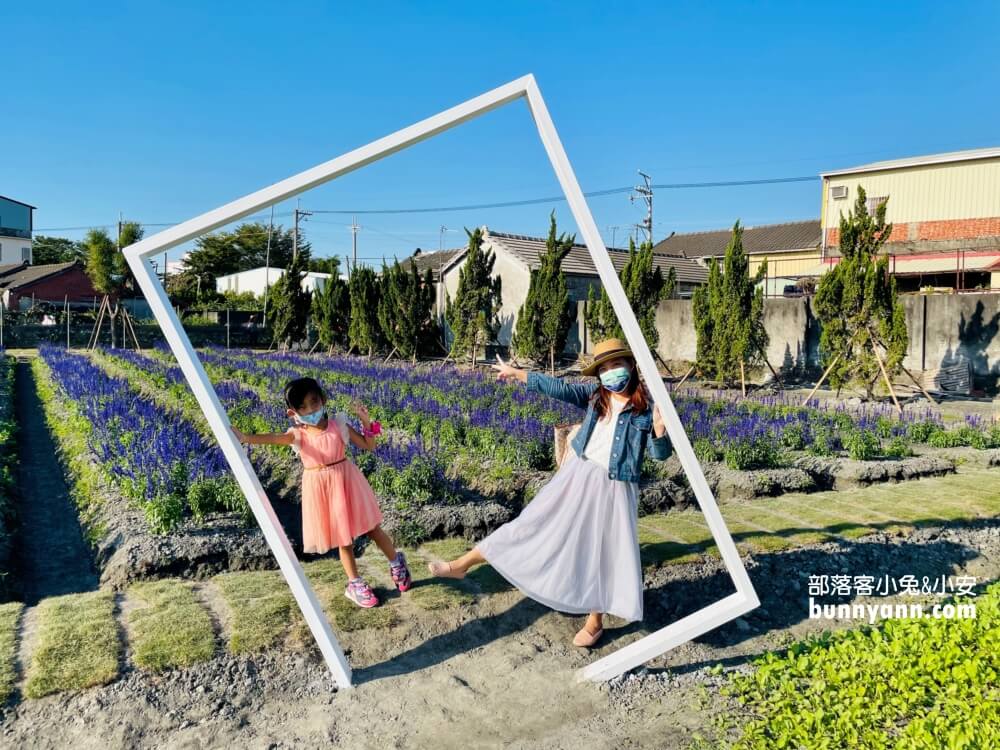 彰化景點》董家花田，田尾繽紛四季花海，戶外野餐好地方