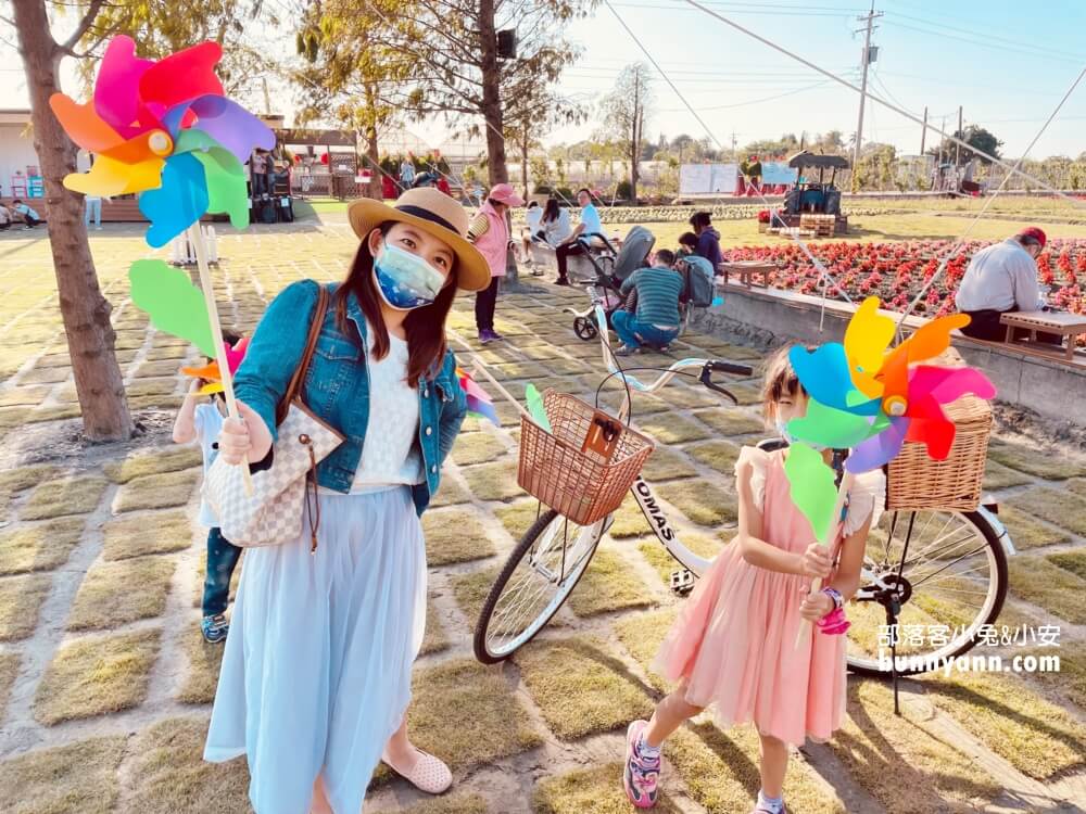 彰化景點》董家花田，田尾繽紛四季花海，戶外野餐好地方