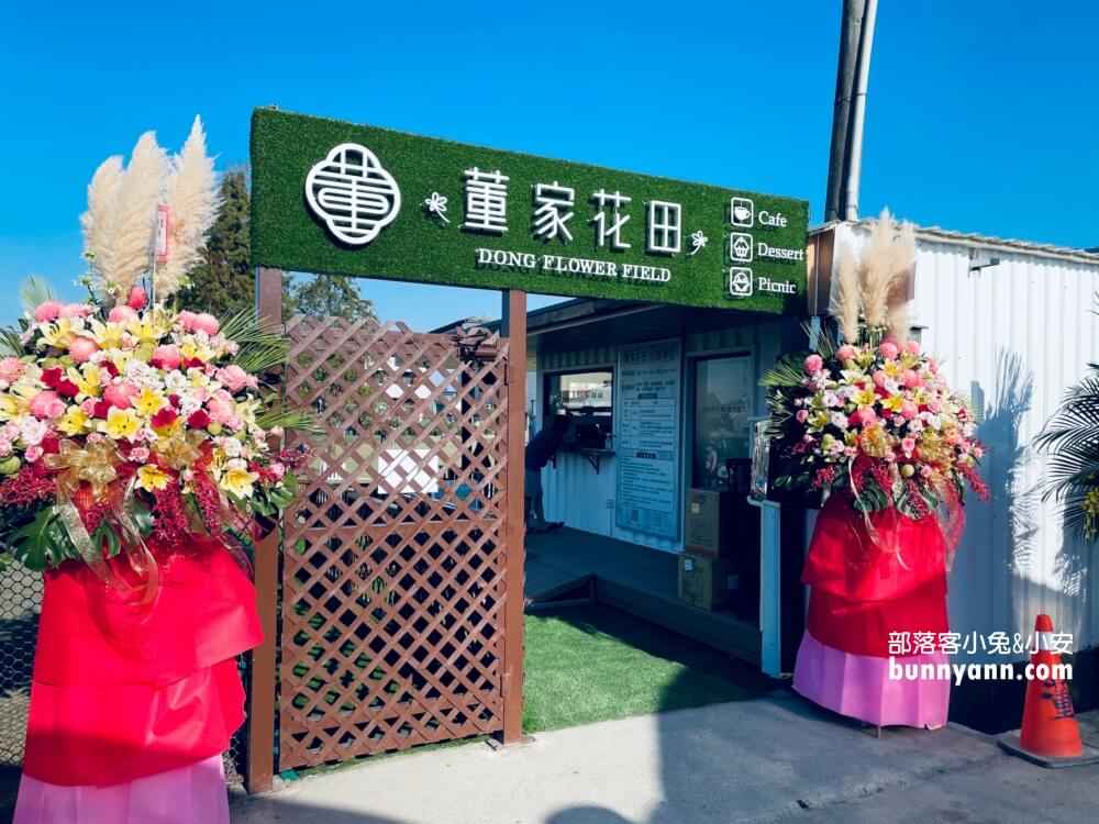 彰化景點》董家花田，田尾繽紛四季花海，戶外野餐好地方