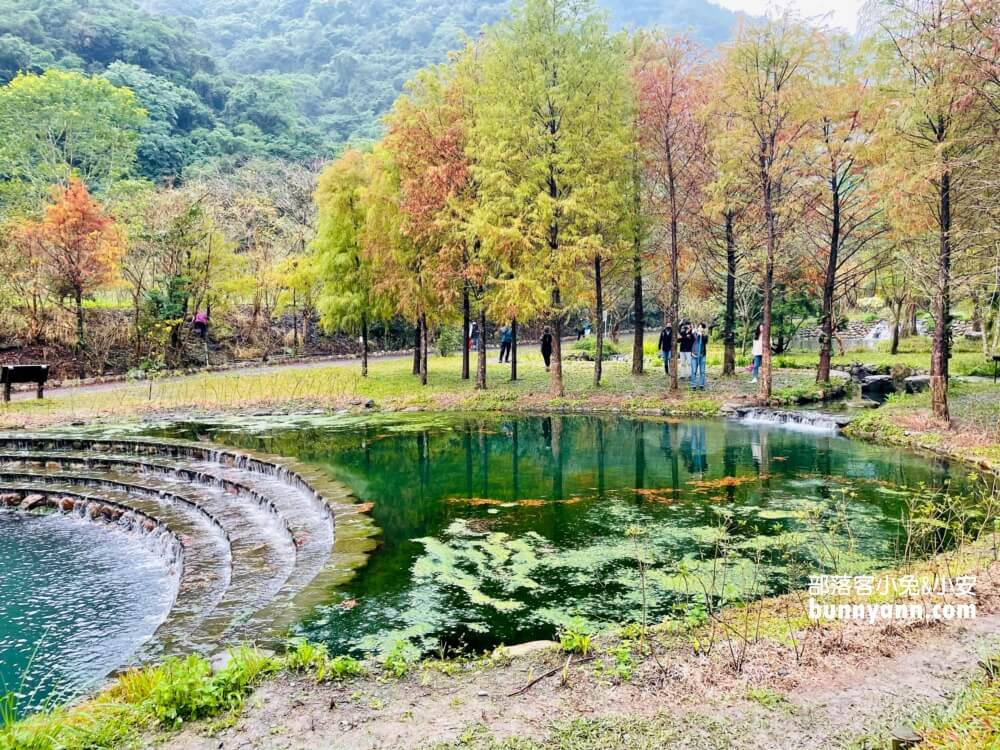 宜蘭三層坪農塘教育園區夠美嗎?漫步階梯水塘落羽松小徑