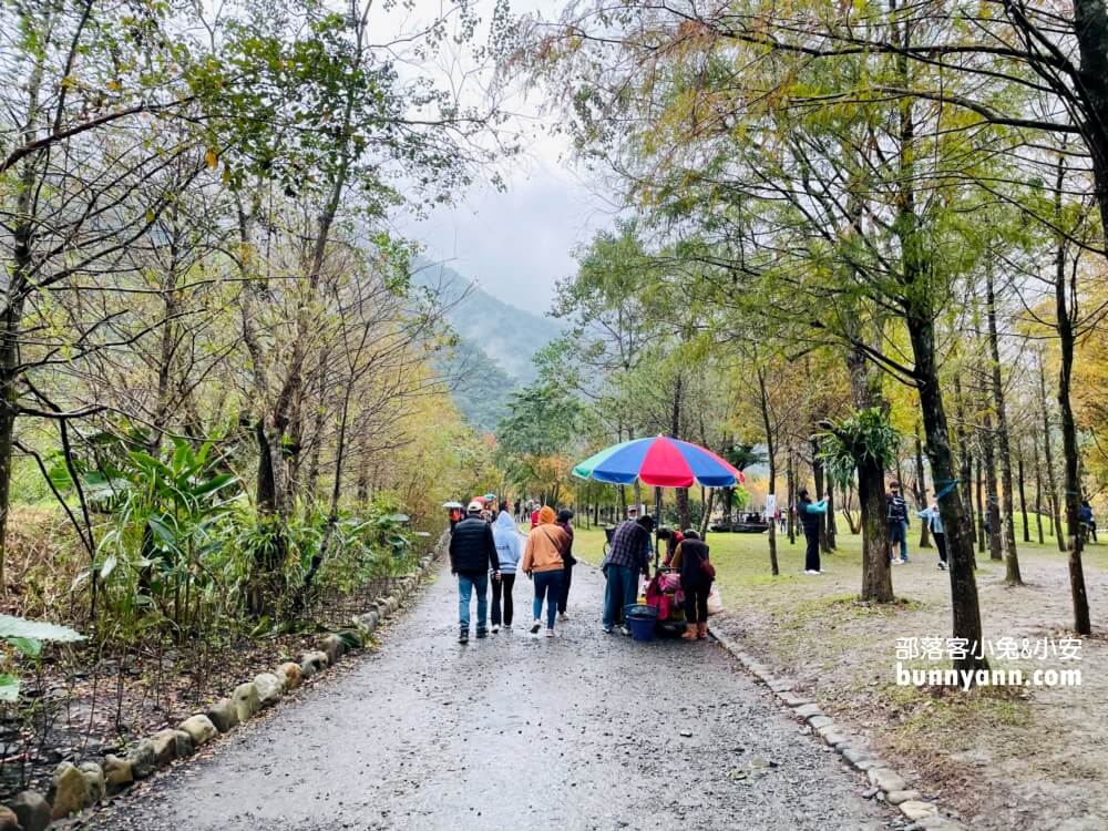 宜蘭三層坪農塘教育園區夠美嗎?漫步階梯水塘落羽松小徑