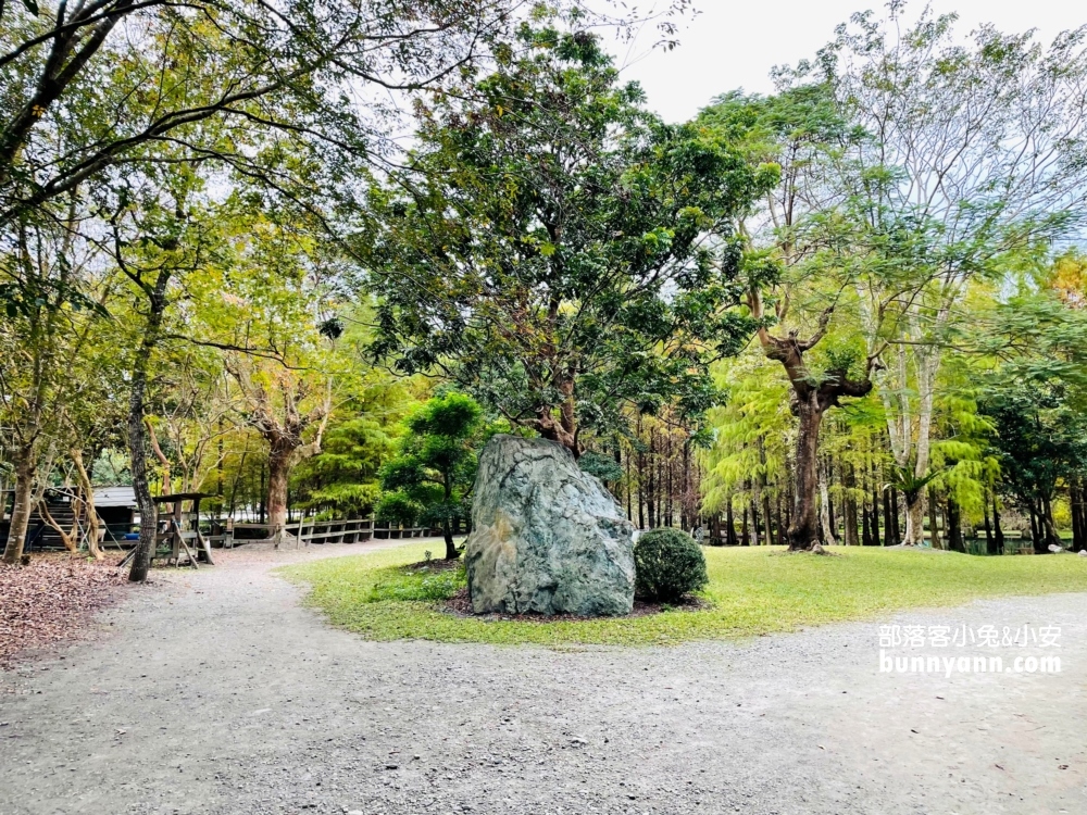 花蓮鈺展苗圃落羽松值得去嗎?落羽松小徑12月初轉紅