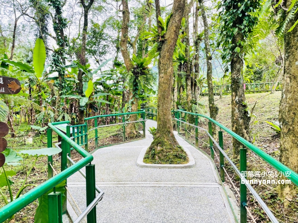 花蓮池南國家森林遊樂區，漫步森林鐵路，美拍白色蹦蹦車