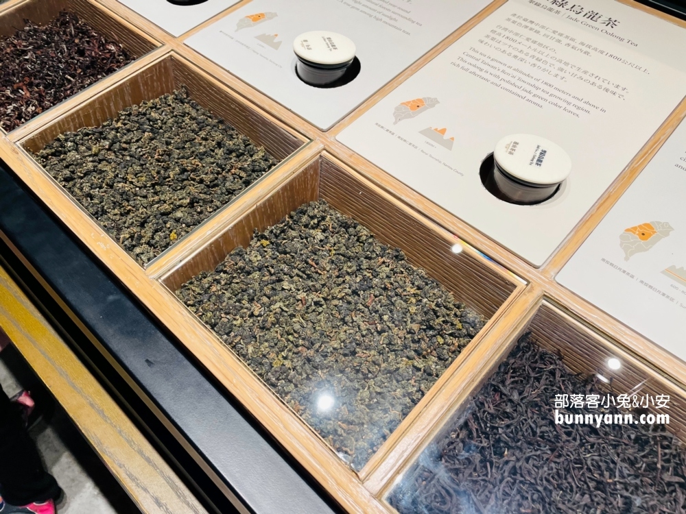 遊山茶訪茶文化館，免門票參觀品茶好地方，南投茶體驗觀光工廠