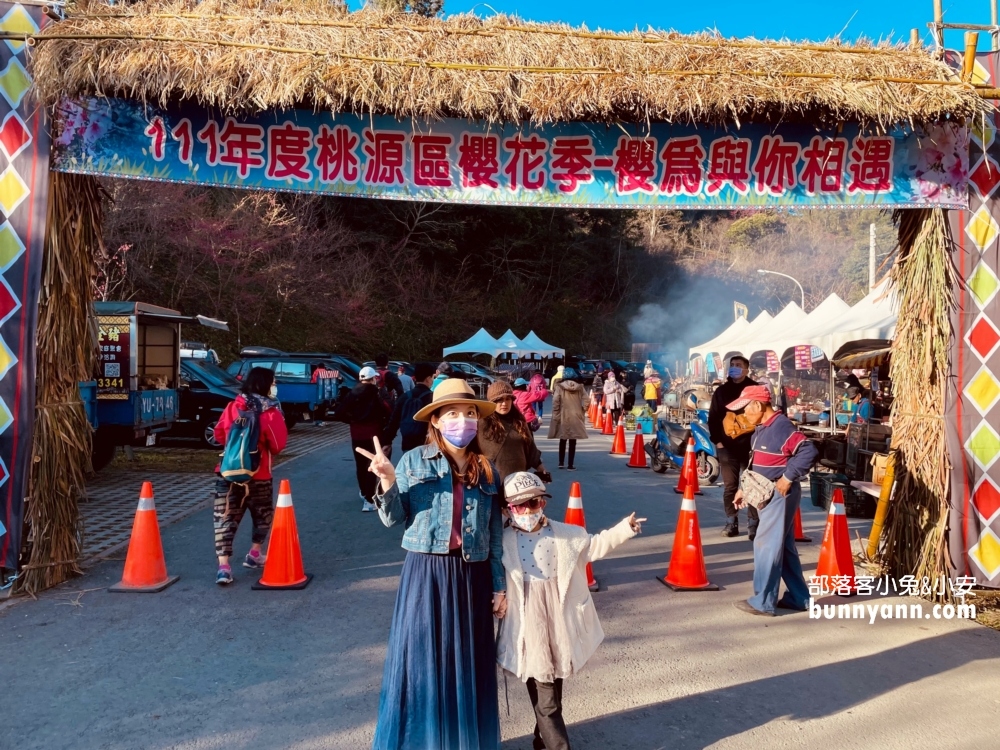 高雄寶山二集團櫻花公園最新花況，停車資訊分享