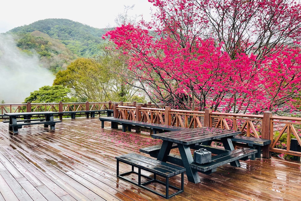 苗栗二本松解說站，丸田砲台文史紀念館，俯瞰大安溪谷景色