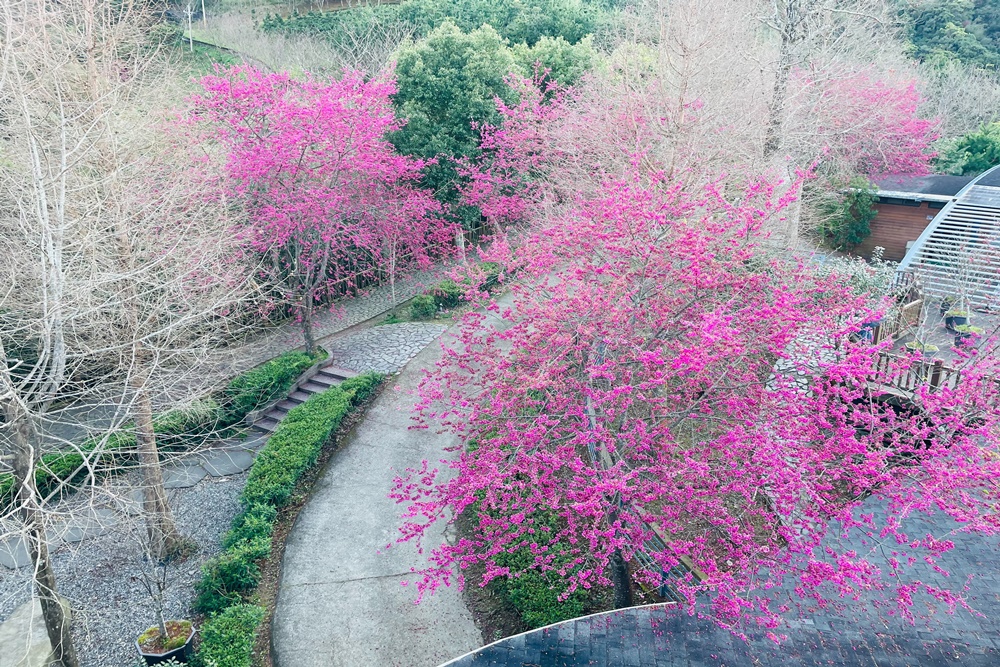 新竹「數碼天空景觀餐廳」下午茶好去處，環境、交通、低消全攻略。