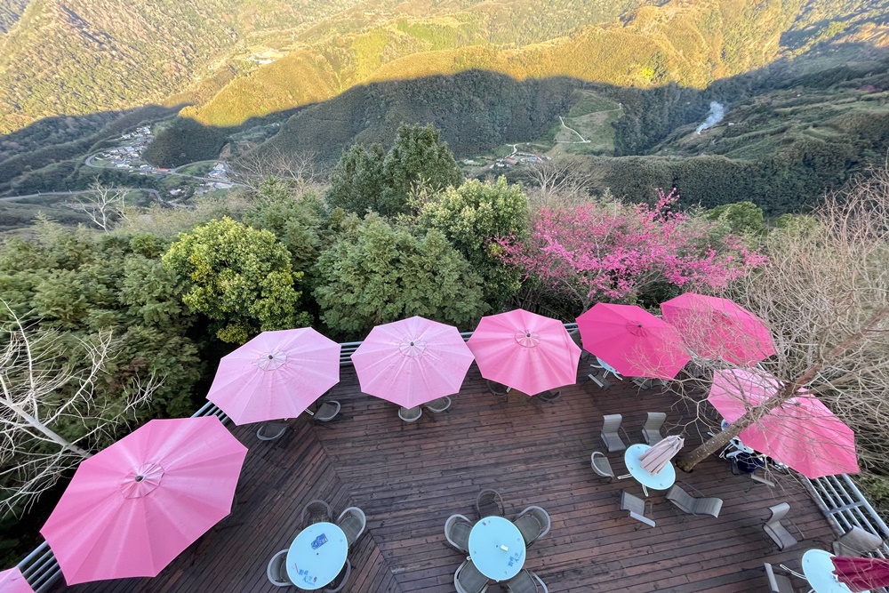 新竹數碼天空景觀餐廳，最新餐點和風景視野分享，鬆獅犬好可愛