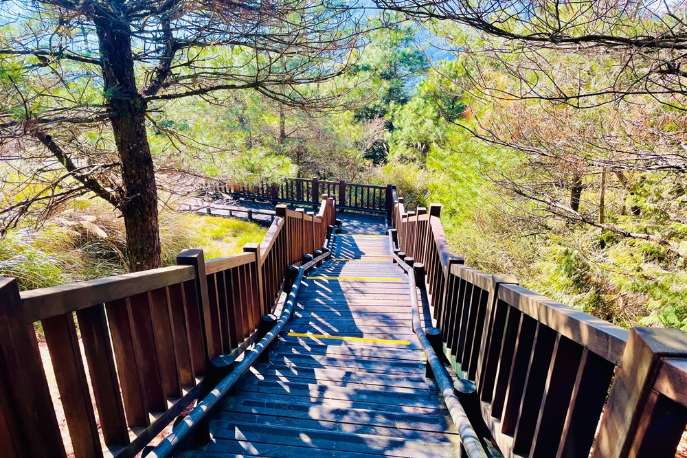 觀霧國家森林遊樂區雲霧步道