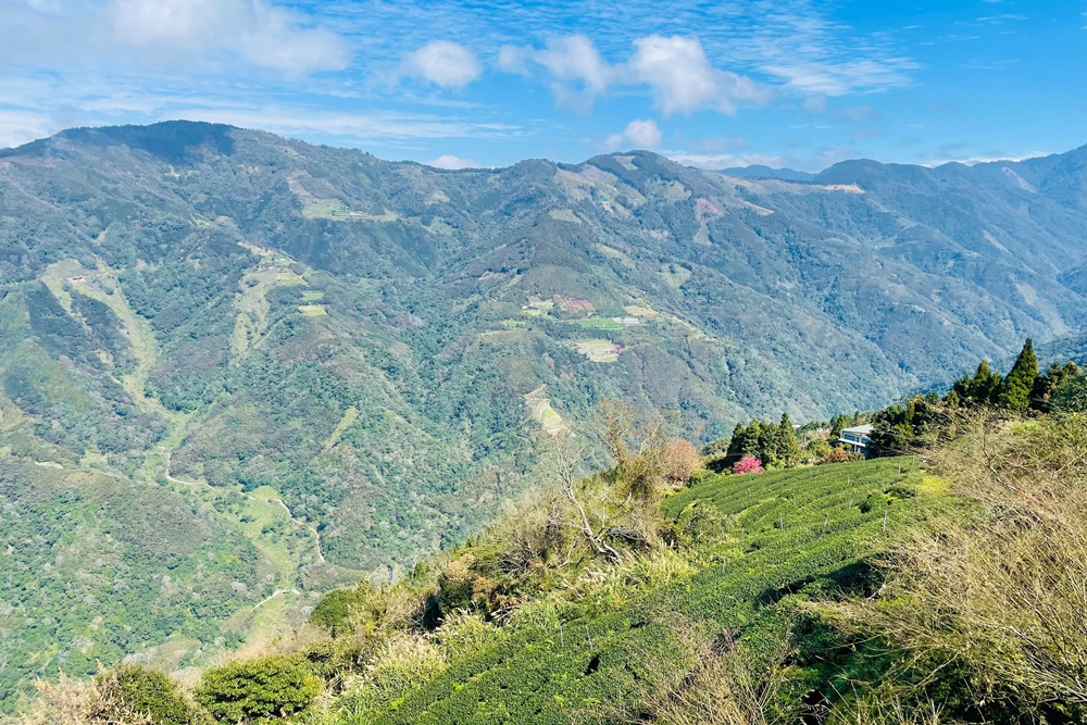 新竹雲山民宿景觀休息站，免門票喝咖啡賞雲海雲瀑