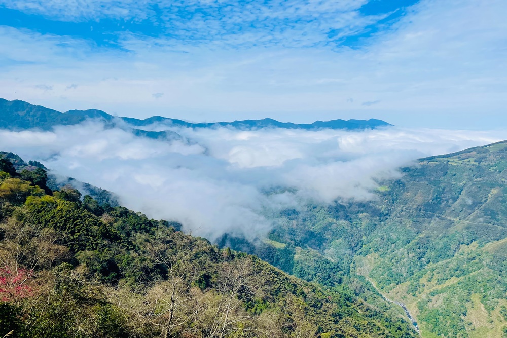 新竹雲山民宿景觀休息站，免門票喝咖啡賞雲海雲瀑