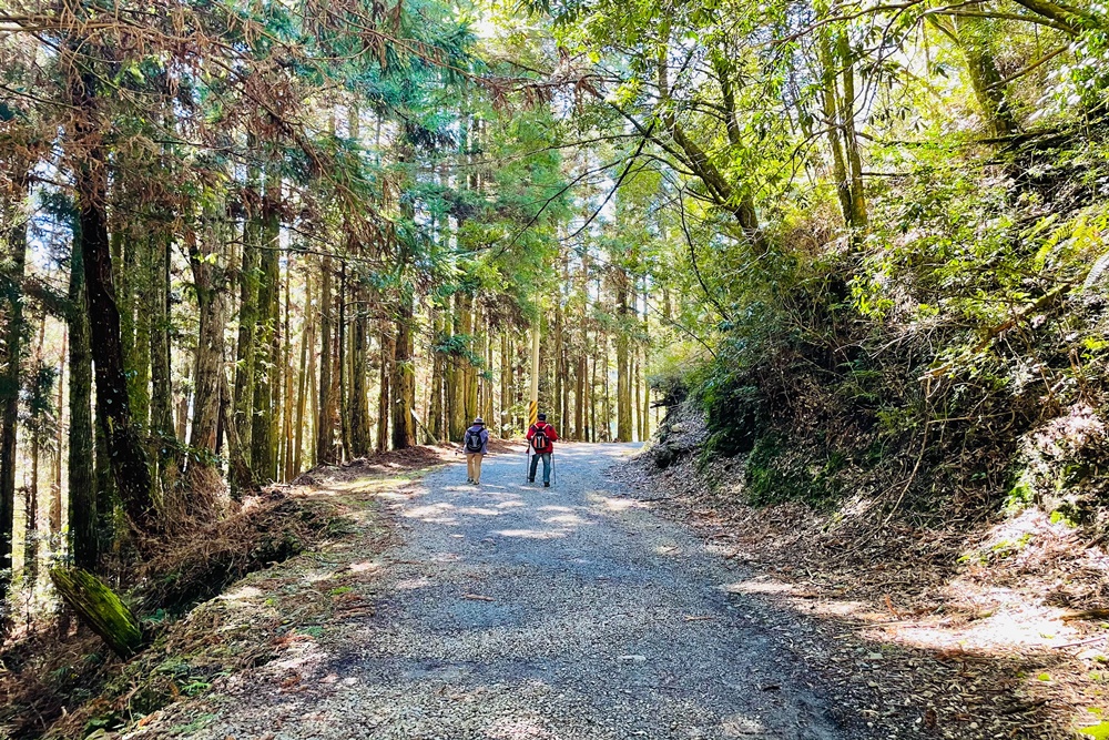 觀霧山莊