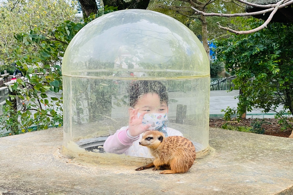 【六福村主題遊樂園】水陸雙棲的六福村，門票、交通、設施攻略