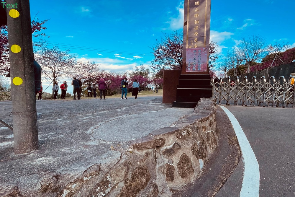 嘉義阿里山彌陀禪寺最新花況，交通以及停車資訊分享