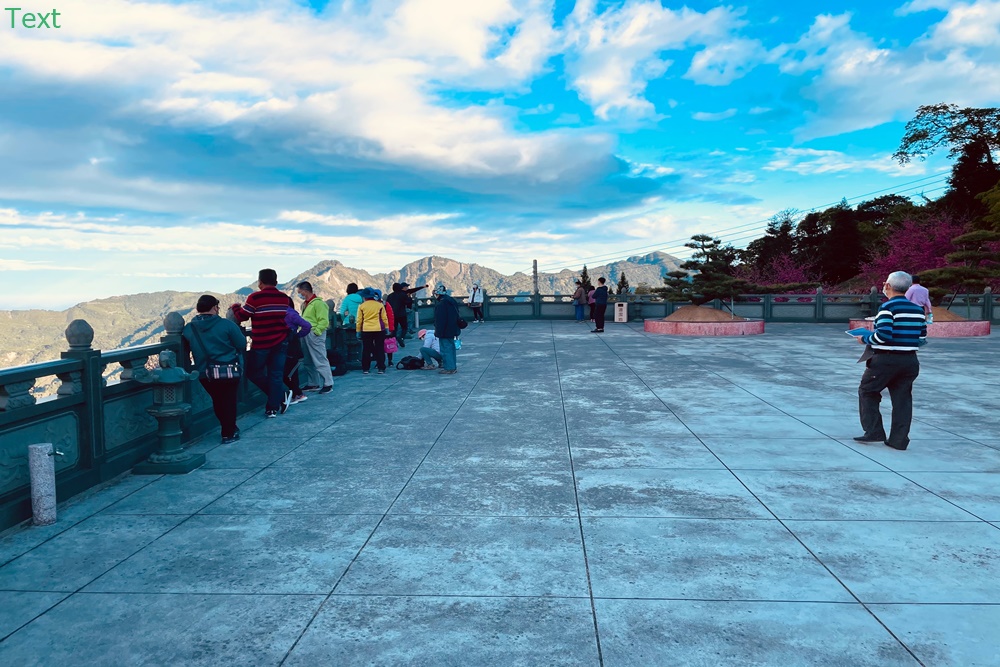 嘉義阿里山彌陀禪寺最新花況，交通以及停車資訊分享