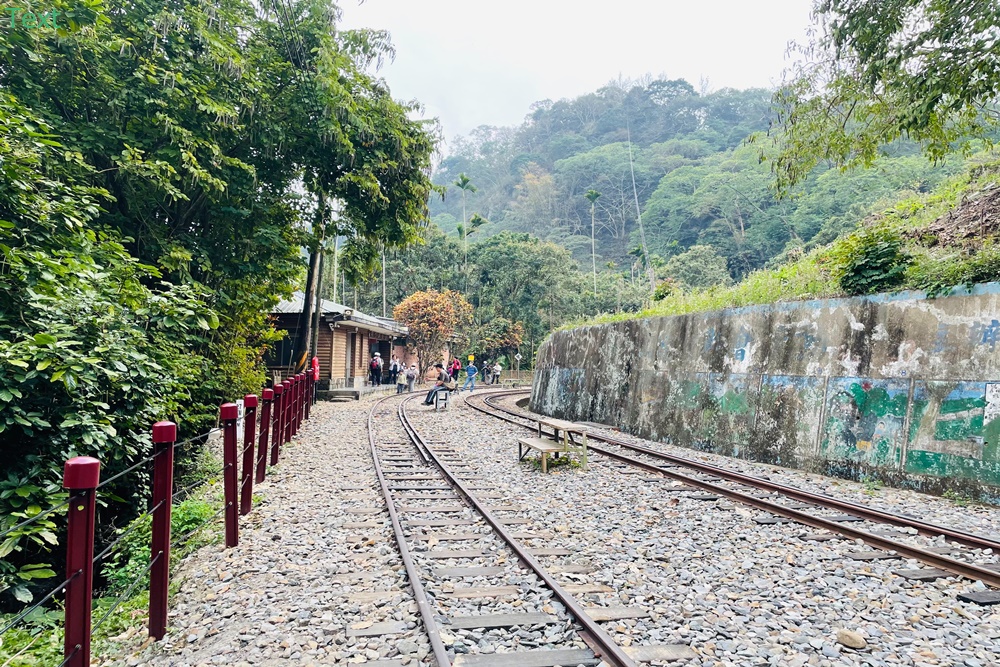 嘉義獨立山車站兩小時攻略，完整拍到阿里山小火車入站