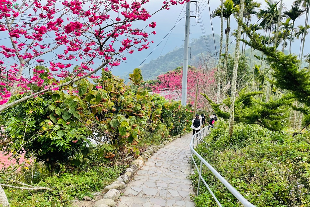 嘉義獨立山車站兩小時攻略，完整拍到阿里山小火車入站