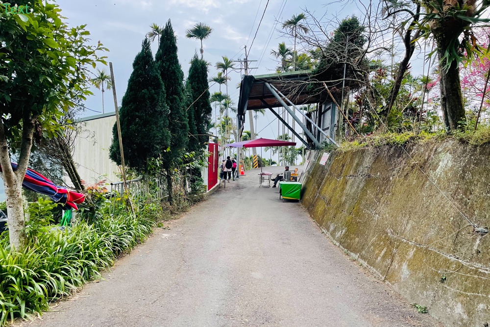 嘉義獨立山車站兩小時攻略，完整拍到阿里山小火車入站